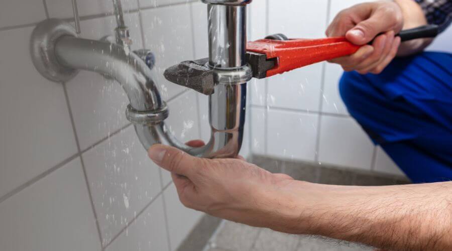Thermal Imaging Leak Detection in Hickory Corners, MI